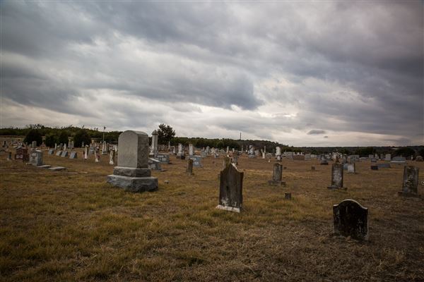 Fairy Cemetery (3/9/2018)