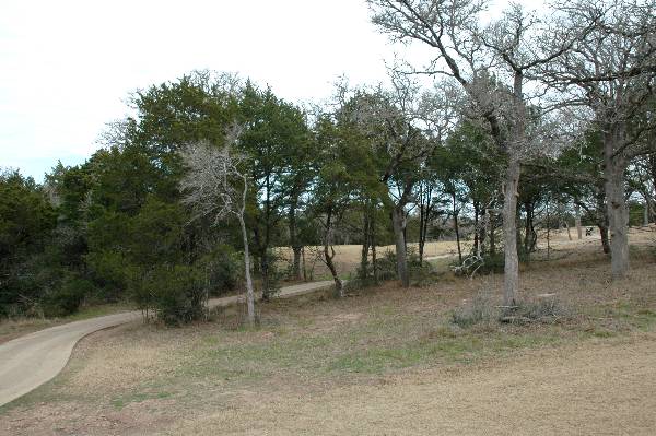 Hyatt Regency Lost Pines Resort & Spa - Wolfdancer Golf Club (1/17/2008)