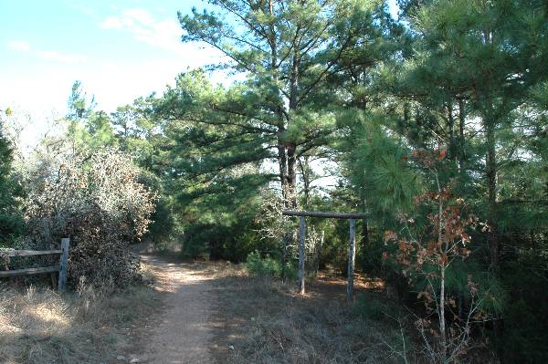 McKinney Roughs Nature Park (1/17/2008)