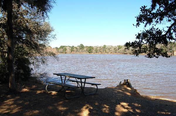 Buescher State Park (2/26/2008)