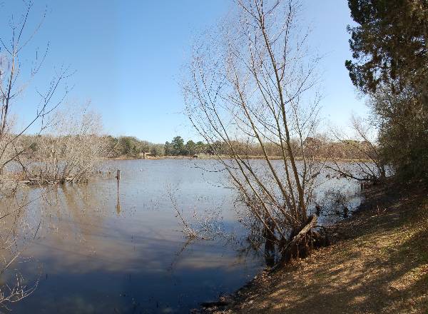 Buescher State Park (2/26/2008)