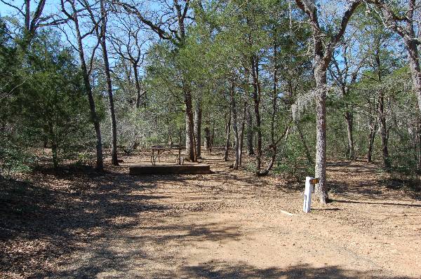Buescher State Park (2/26/2008)