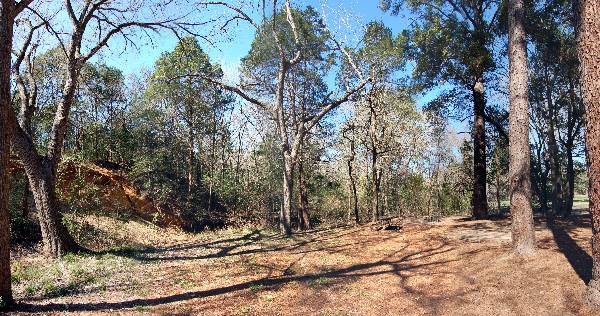 Buescher State Park (2/26/2008)