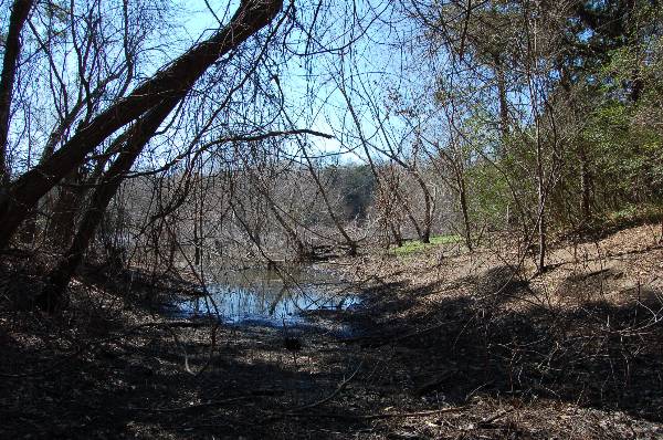 Buescher State Park (2/26/2008)