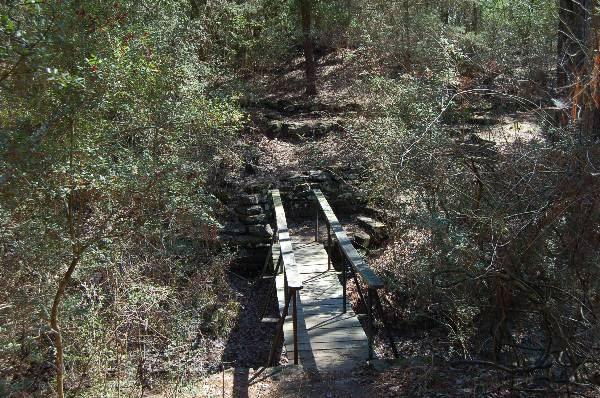 Buescher State Park (2/26/2008)