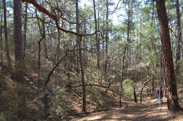 Buescher State Park (2/26/2008)