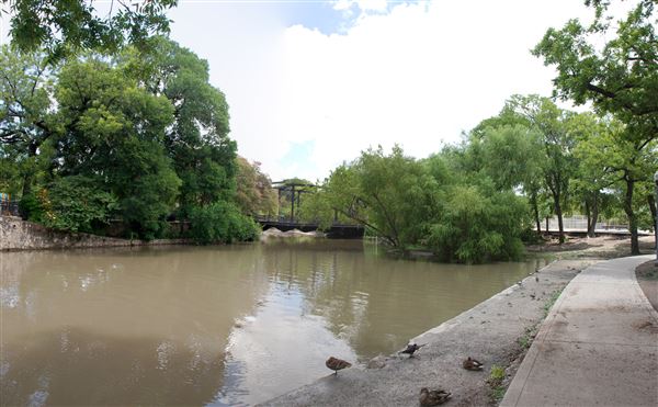 Brackenridge Park (7/5/2018)