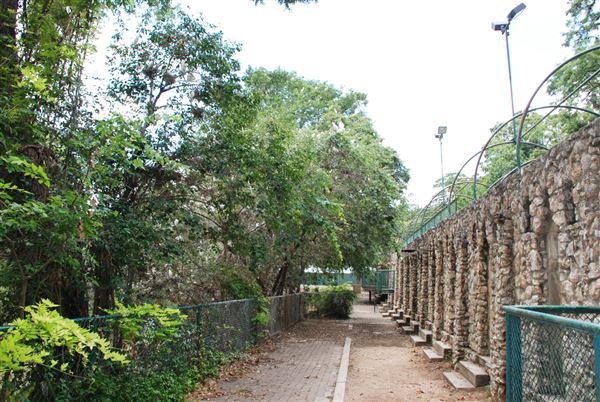 Brackenridge Park (7/5/2018)