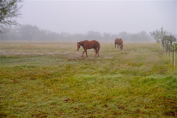 Dockery Ranch (1/4/2019)