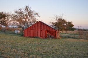 Maeshill Farm (1/30/2019)