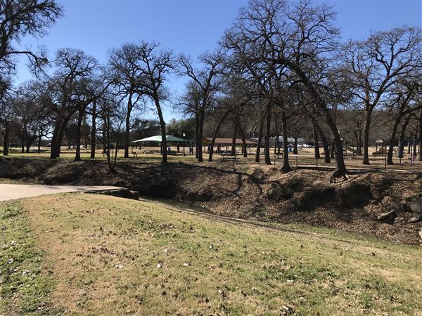 West City Park (3/12/2019 - Credits: Rose Jordan)