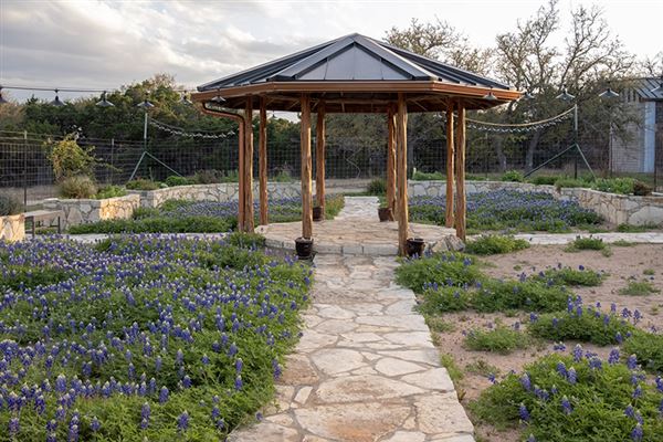 The Cedars Ranch (3/20/2019 - Credits: Mark Hemmings)