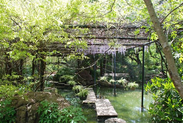 Chandor Gardens (4/10/2019)