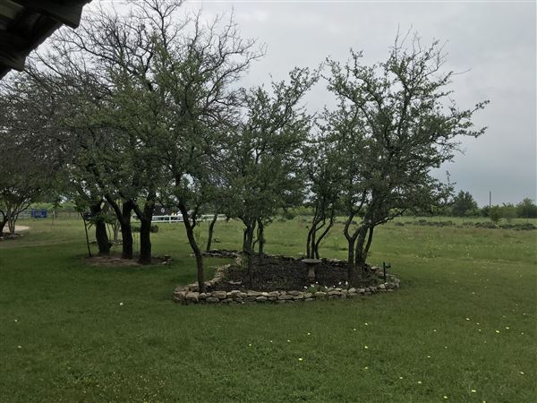 Obregon Ranch (5/14/2019 - Credits: Jariah Obregon)