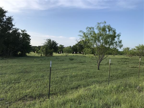 Obregon Ranch (5/14/2019 - Credits: Jariah Obregon)