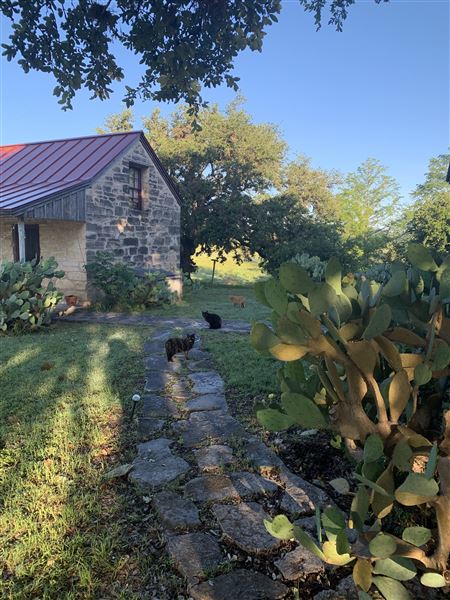 The Back Forty Ranch (5/15/2019 - Credits: Patricia Collins)