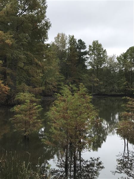 Historic Grove House (11/9/2019 - Credits: Lisa Jackson)