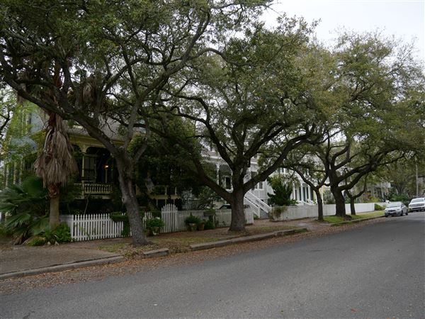 Galveston Residential - Historical (3/3/2020)
