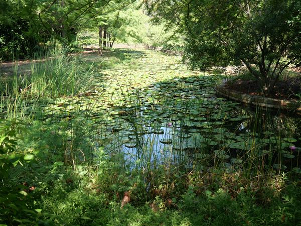 Clark Gardens Botanical Park (7/16/2019)