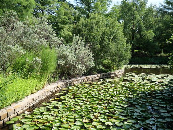 Clark Gardens Botanical Park (7/16/2019)