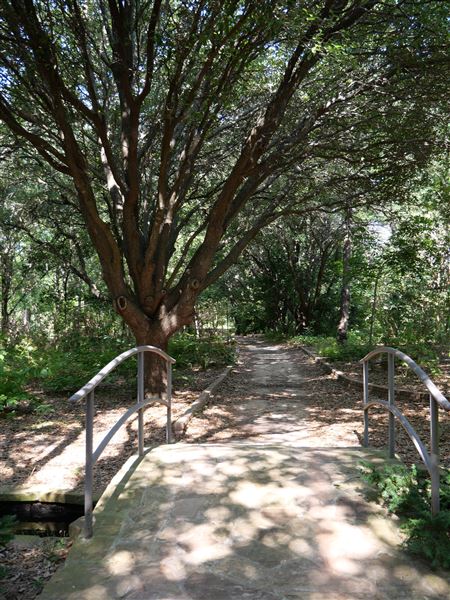 Clark Gardens Botanical Park (7/16/2019)