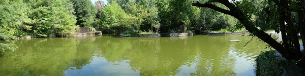 Clark Gardens Botanical Park (7/16/2019)