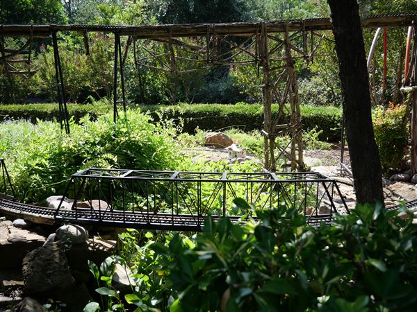 Clark Gardens Botanical Park (7/16/2019)