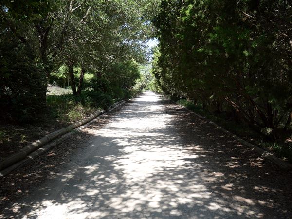 Clark Gardens Botanical Park (7/16/2019)