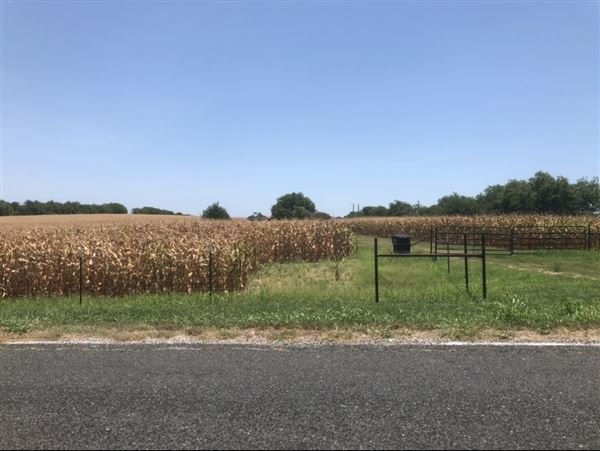 Gil Farmhouse & Cornfield (7/28/2020 - Credits: Dana Gil)