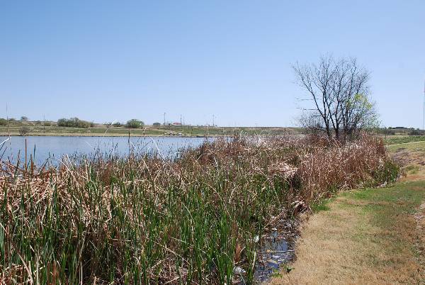 Mackenzie Park (3/24/2009)