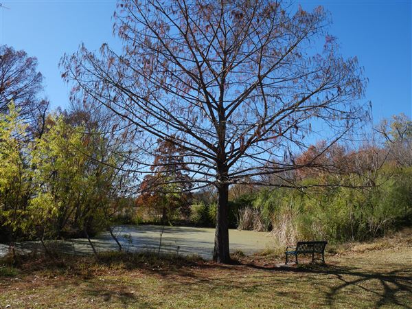 Beverly S. Sheffield Northwest District Park (12/9/2020)