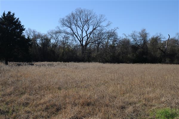 Rural Farm - Two House Property (6/7/2020)