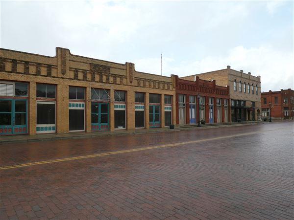 Bartlett (2/6/2021)