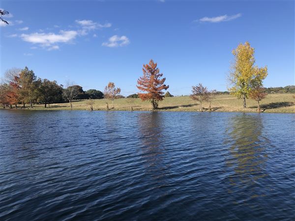 Hidden Springs Ranch (11/1/2020 - Credits: Bill Lanier)