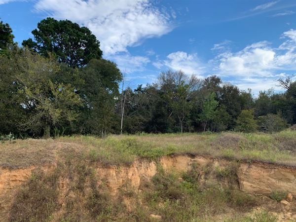 Rose Ranch (9/27/2021 - Credits: Roy Rose on my I-Phone)