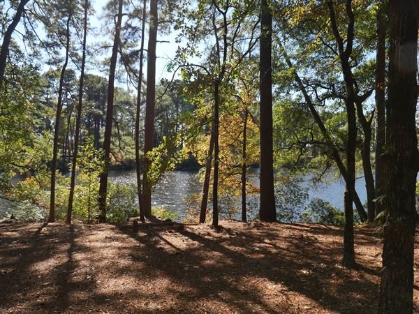 Synergy Park (11/12/2021)