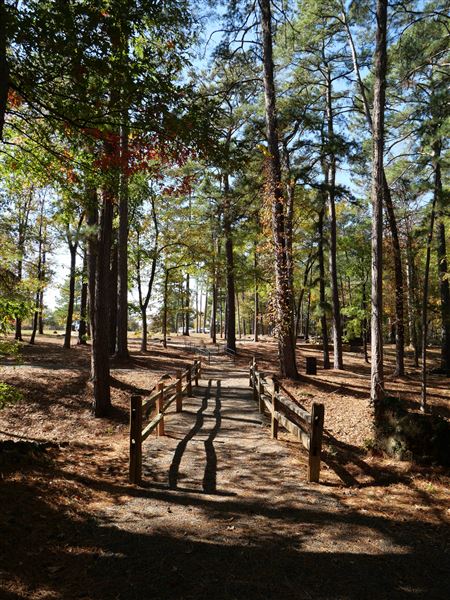 Synergy Park (11/12/2021)
