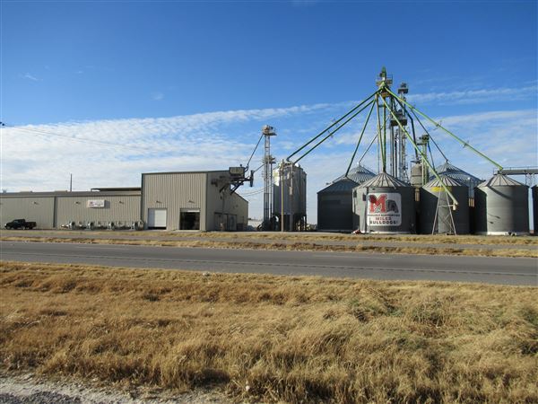 Top Tier Grain & Feed (1/21/2022 - Credits: Jane Jeschke)