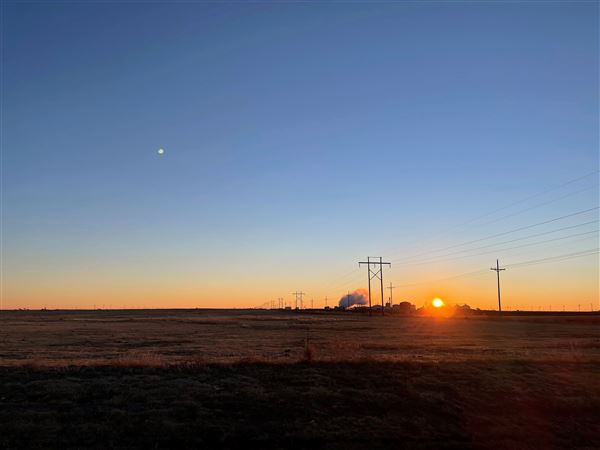 Plainview Terrain (2/1/2022 - Credits: Tori Huddleston)