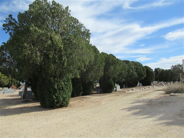 Miles Cemetery (1/19/2022 - Credits: Jane Jeschke)