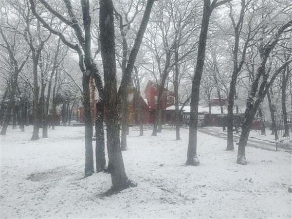 Reed House (2/23/2022 - Credits: Myself)