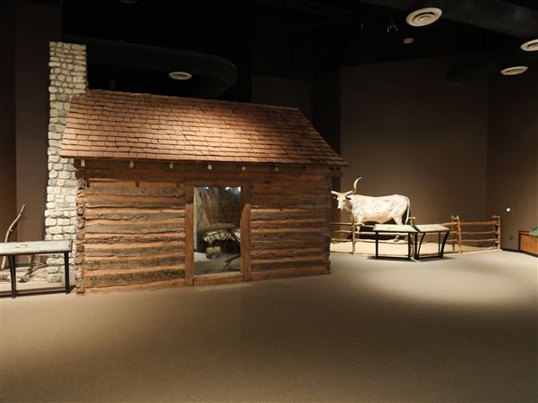 Mayborn Museum Complex (7/23/2022 - Credits: Matt Miller)