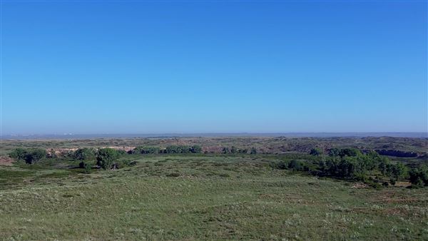 Blue Ranch (8/25/2022 - Credits: Allen Garland)
