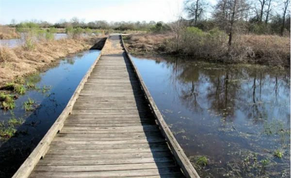 Seabourne Creek Nature Park (2/21/2022 - Credits: City of Rosenberg)
