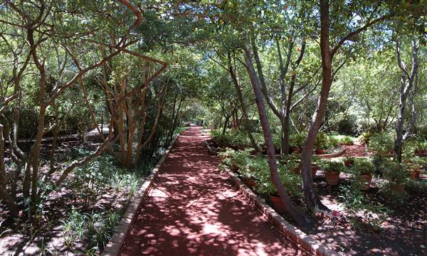 Clark Gardens Botanical Park (5/30/2009)