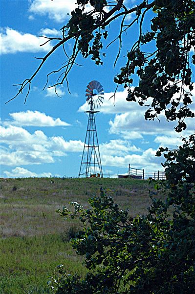 Borger Wind Farms (4/30/2018 - Credits: Charles Gillingham)