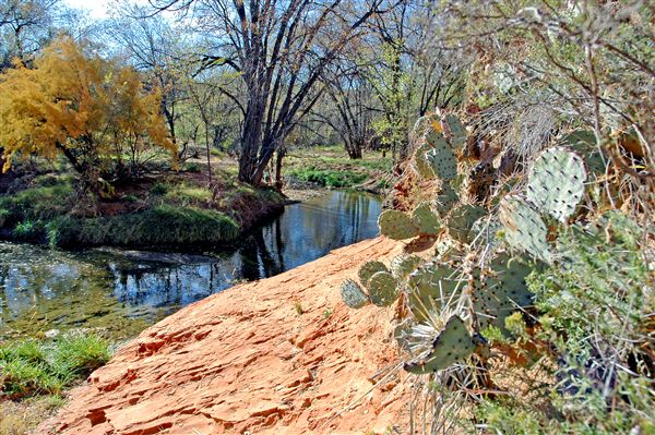 Borger Nature Trail (4/30/2017 - Credits: Charles Gillingham)