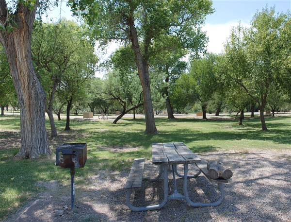 Big Bend National Park - Rio Grande Village (6/12/2010)