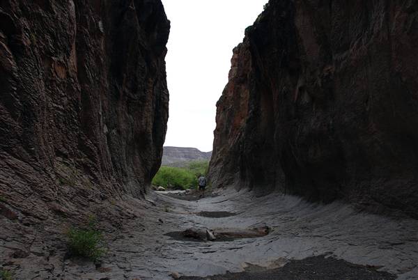 River Road - FM 170 (6/10/2010)