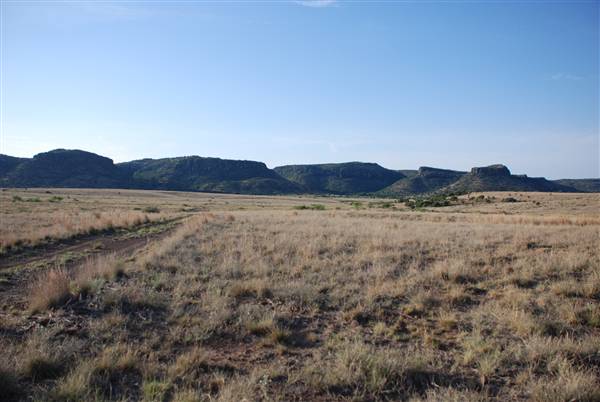 CF Ranch (6/10/2010)